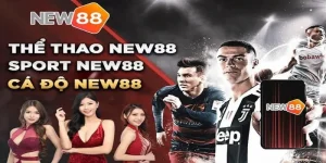 New88 nha cai the thao cuc chat
