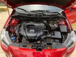 MAZDA lleno