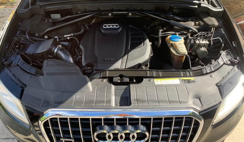 AUDI lleno