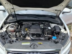 AUDI lleno