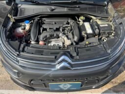 CITROEN lleno